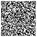 QR code with Cottages Of Annandale contacts
