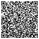 QR code with Pulse Marketing contacts