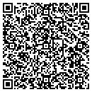 QR code with Premium Digitizing contacts