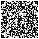 QR code with Pre Designed Displays contacts
