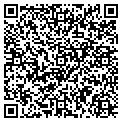 QR code with Minami contacts