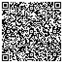 QR code with Caveo Technology Inc contacts