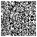 QR code with Carefree Self Storage contacts