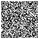 QR code with Publik Shoppe contacts