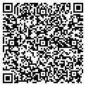 QR code with Vaddio contacts