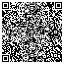 QR code with Carefree Self Storage contacts