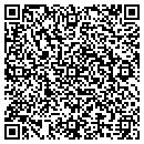 QR code with Cynthias Art Asylum contacts