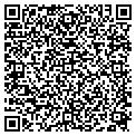 QR code with Bashas' contacts