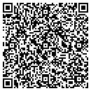 QR code with Critical Distinction contacts