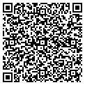QR code with Basils contacts