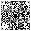 QR code with Publishing Partners contacts
