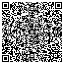 QR code with Pulte contacts