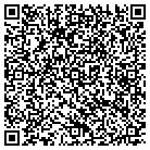 QR code with Blue Point Service contacts