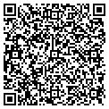 QR code with AIG contacts