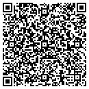 QR code with Public Works Garage contacts