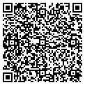 QR code with K W M contacts