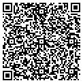 QR code with Codex contacts