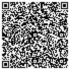 QR code with Pulas Computer Service contacts