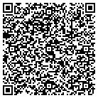 QR code with Publishing Solutions LLC contacts