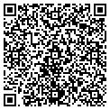 QR code with Stable contacts