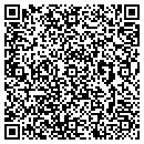 QR code with Public Works contacts