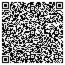QR code with Preview Video contacts