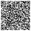 QR code with Public Storage contacts