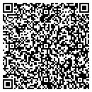 QR code with Camelback Fountains contacts