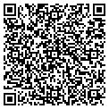 QR code with P Flag contacts