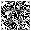 QR code with Clinton County Zoning contacts