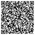 QR code with B Lev contacts