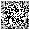 QR code with Bashas' contacts