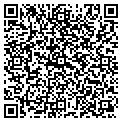 QR code with Mirror contacts
