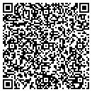 QR code with Primitives Plus contacts