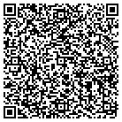 QR code with Plummer Machining Inc contacts