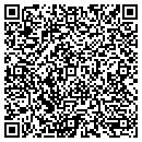 QR code with Psychic Visions contacts