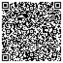 QR code with Print Station contacts