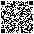 QR code with TCBY contacts