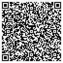 QR code with Pretzel Time contacts