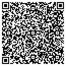 QR code with C W J Contracting Inc contacts