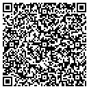 QR code with Carpet One Tolivers contacts