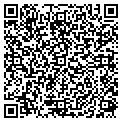 QR code with Reginas contacts