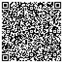 QR code with Premier Salon 18685 contacts