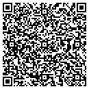 QR code with Professional contacts