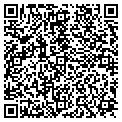 QR code with Angel contacts