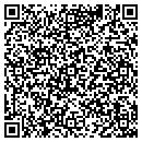 QR code with Protronics contacts