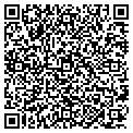 QR code with Alltel contacts