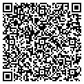 QR code with Levins contacts