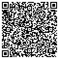 QR code with Gotcha contacts