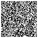 QR code with Primitives Plus contacts